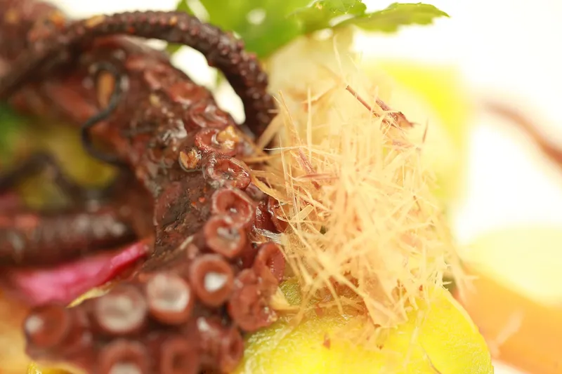 Poulpe laqué au miso rouge, salade de légumes aux copeaus de Katsuobushi, mayonnaise au saké japonais — Plat du restaurant Le Pastel Toulon