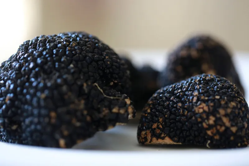 En cuisine au restaurant Le Pastel Toulon — Truffe Tuber Aestivum. Le Pastel - Restaurant Toulon